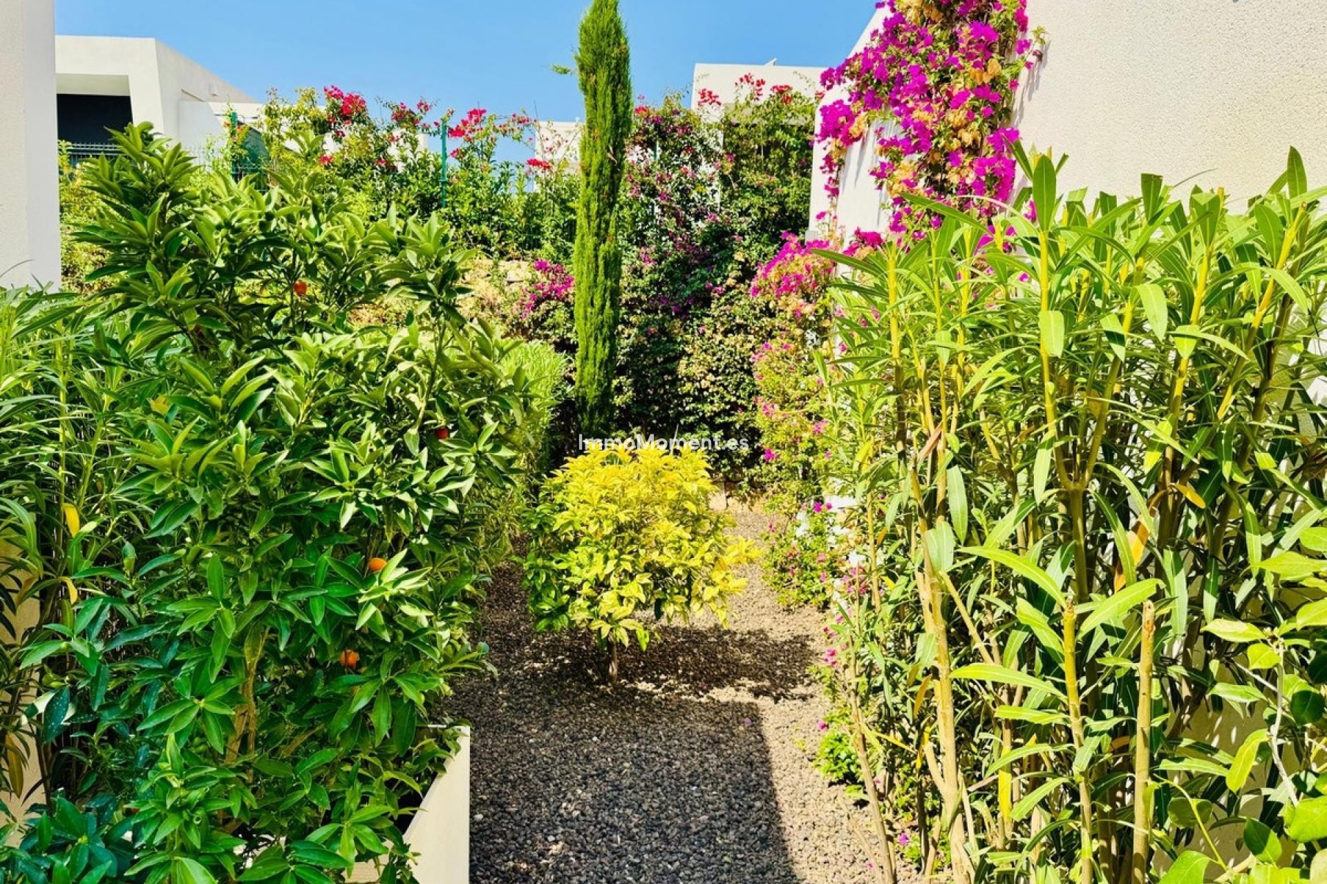Revente - Villa individuelle - Algorfa - La Finca Golf