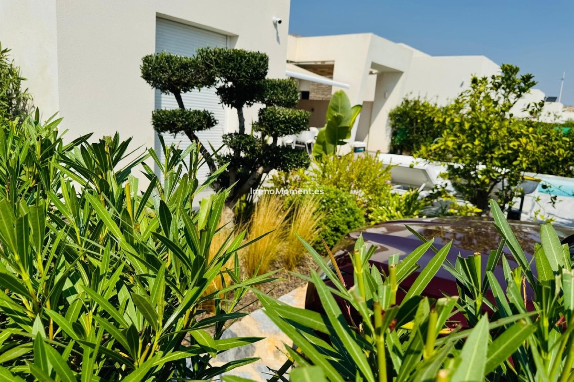 Revente - Villa individuelle - Algorfa - La Finca Golf