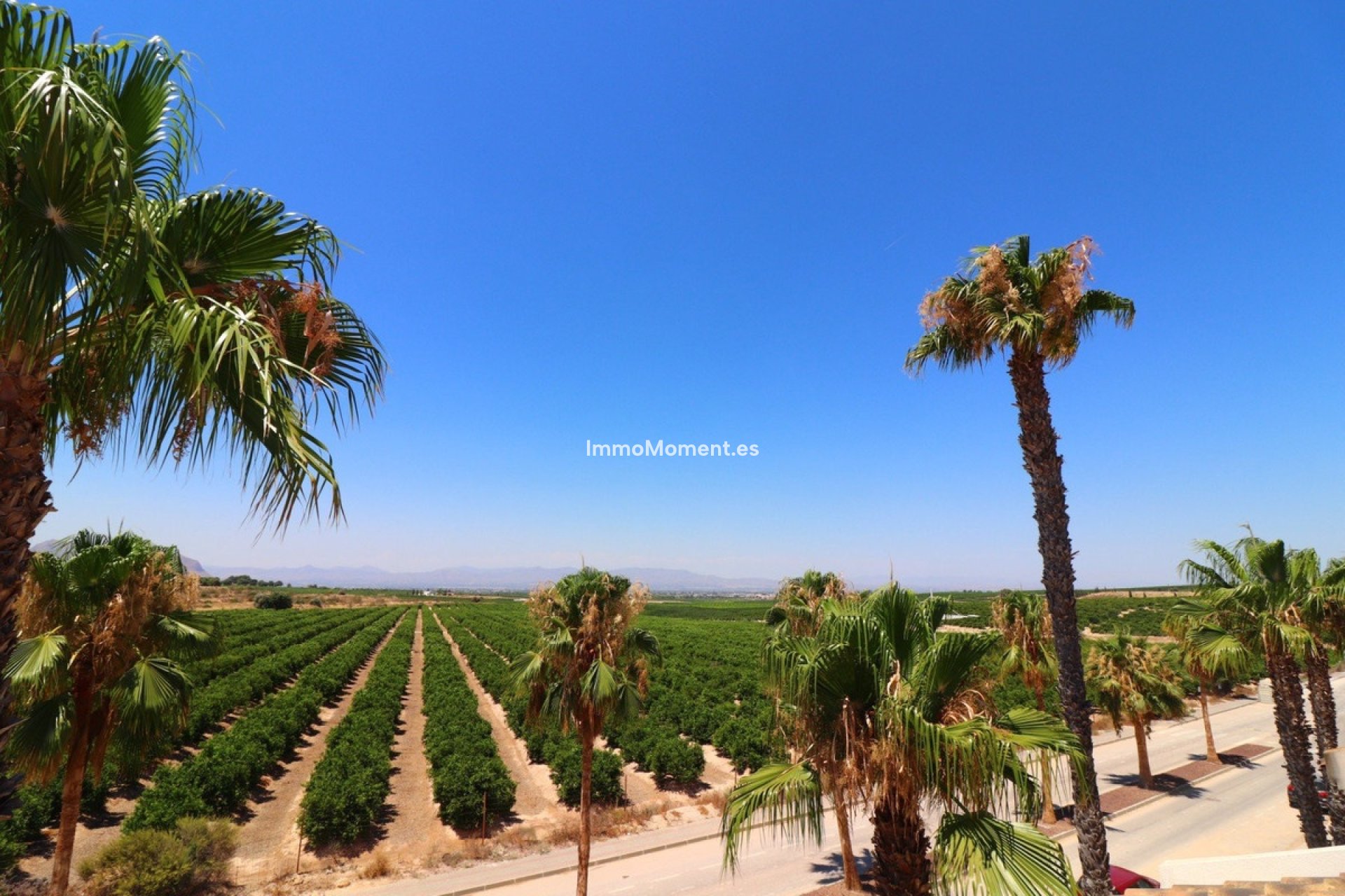 Revente - Villa individuelle - Algorfa - La Finca Golf