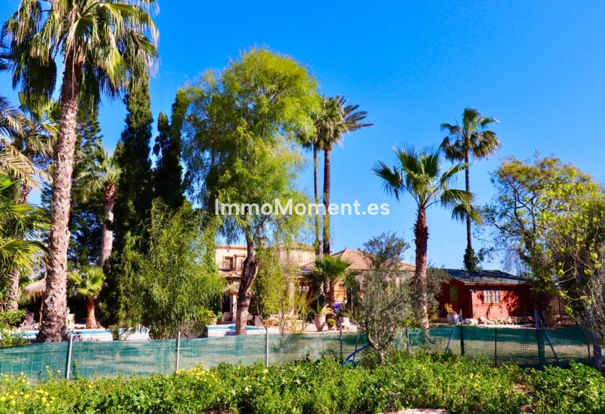 Revente - Villa individuelle - Almoradí - Heredades