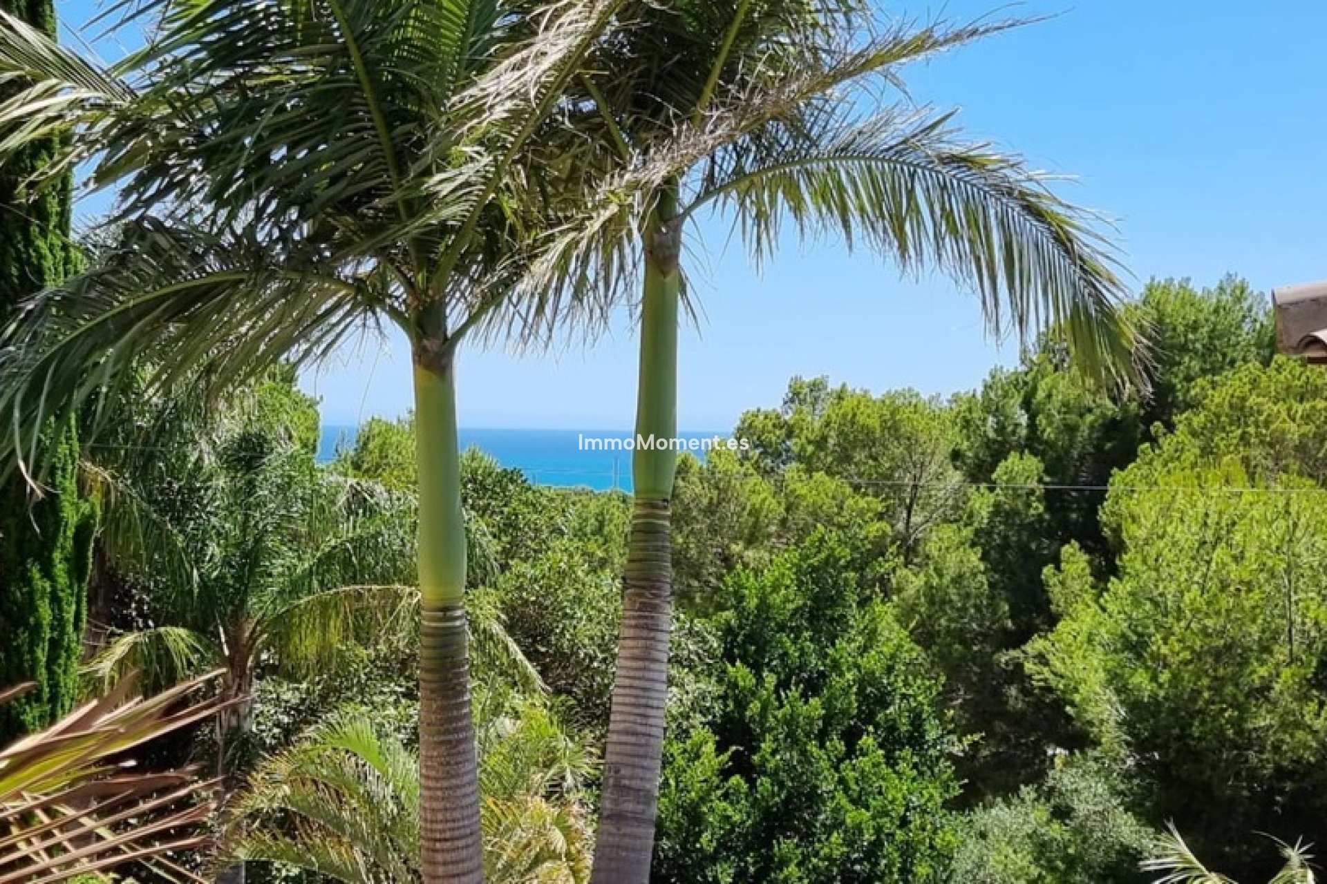 Revente - Villa individuelle - Altea - Altea Centro