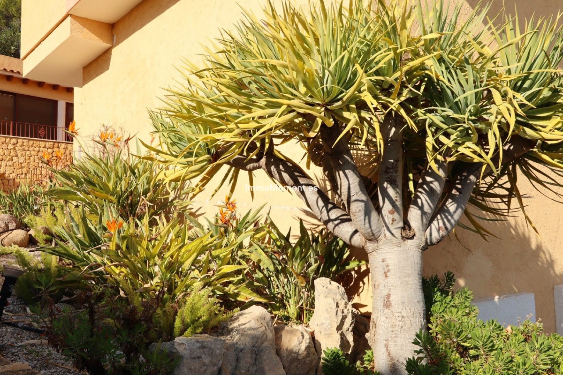 Revente - Villa individuelle - Altea - Altea Centro