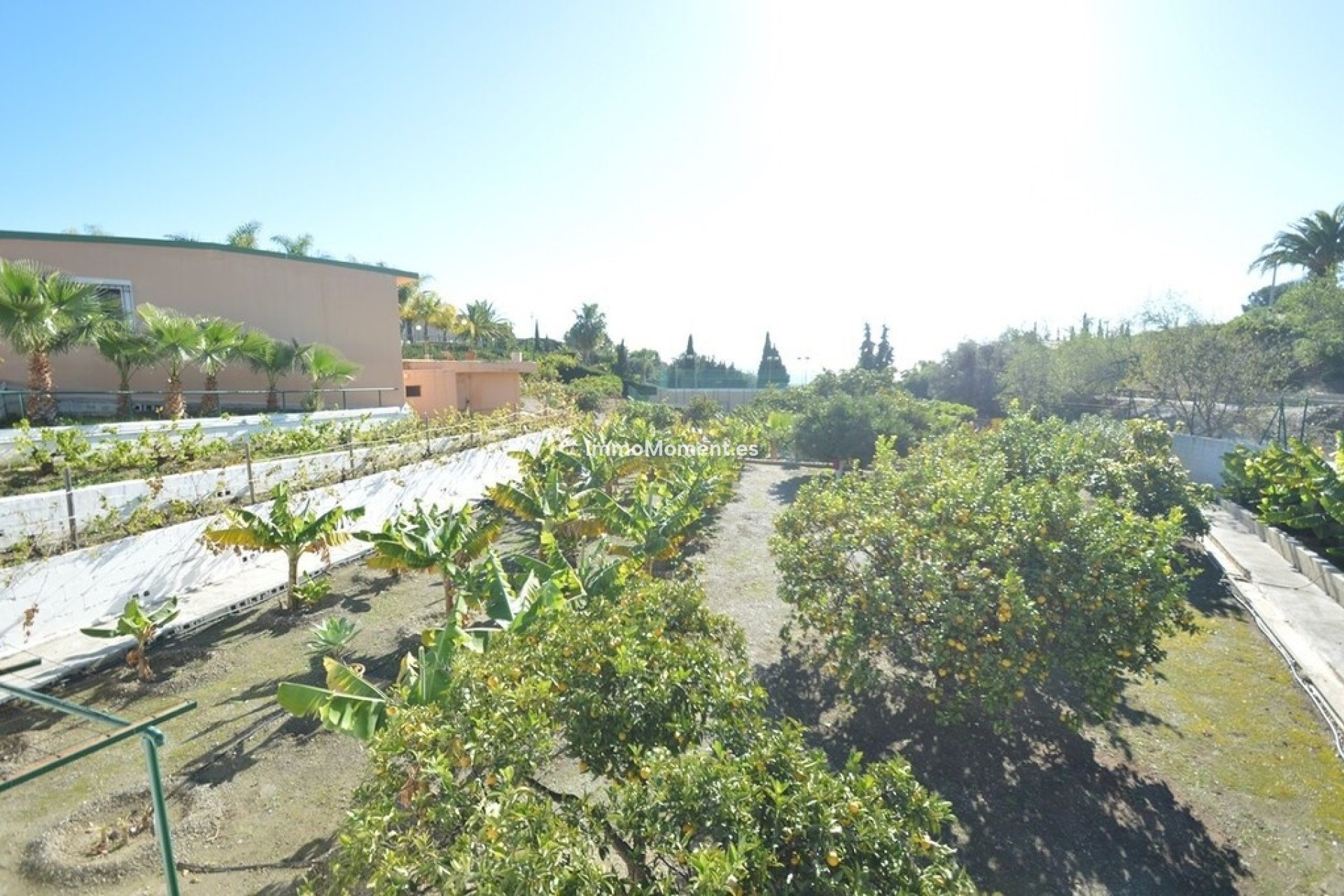Revente - Villa individuelle - Benalmadena - Benalmadena Centro