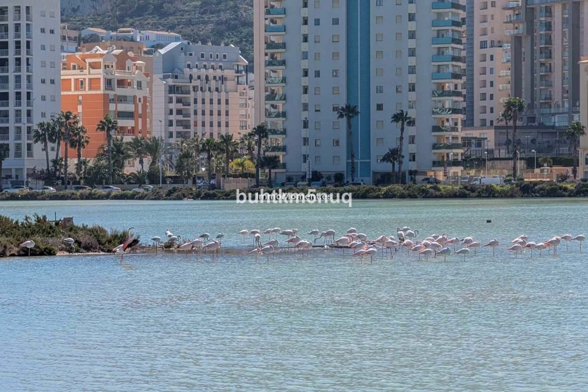 Revente - Villa individuelle - Calpe - Calpe Centro