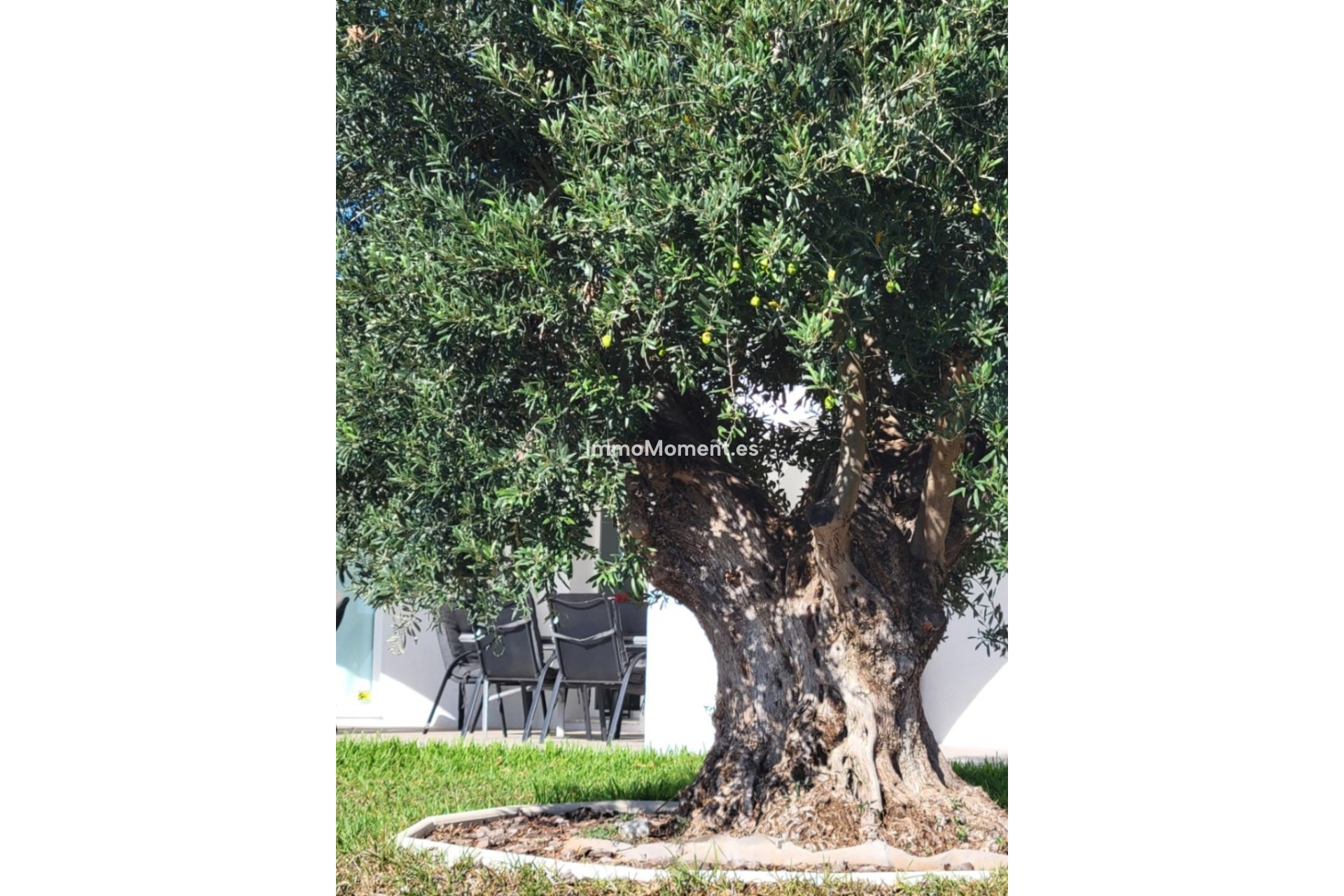 Revente - Villa individuelle - Calpe - Calpe Centro