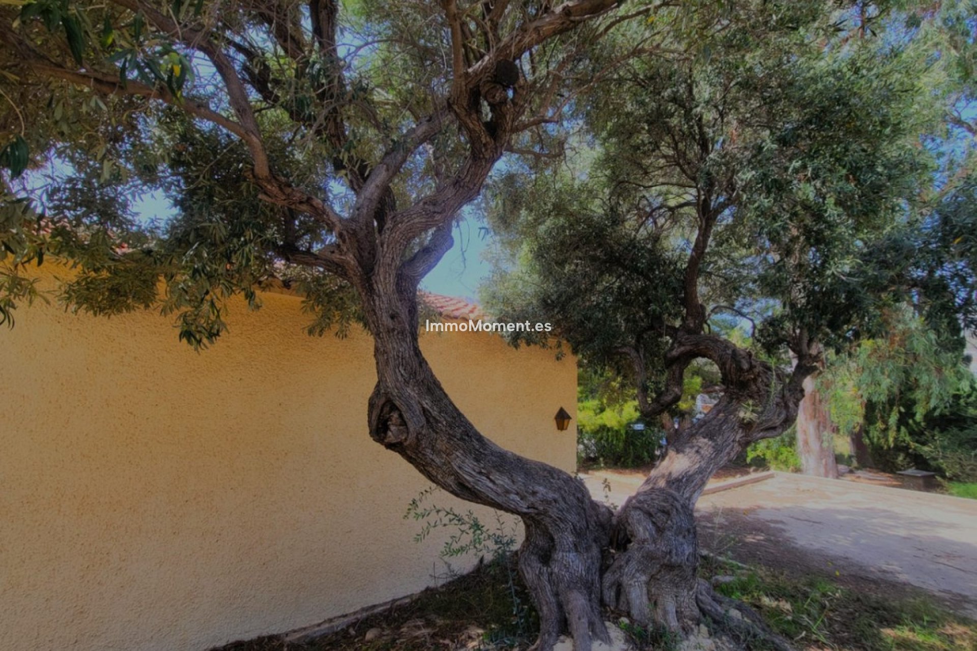 Revente - Villa individuelle - Calpe - Calpe Centro