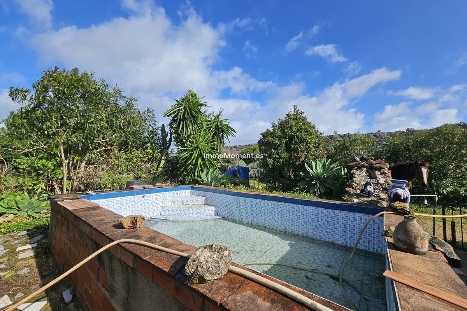 Revente - Villa individuelle - Casares - Casares Centro