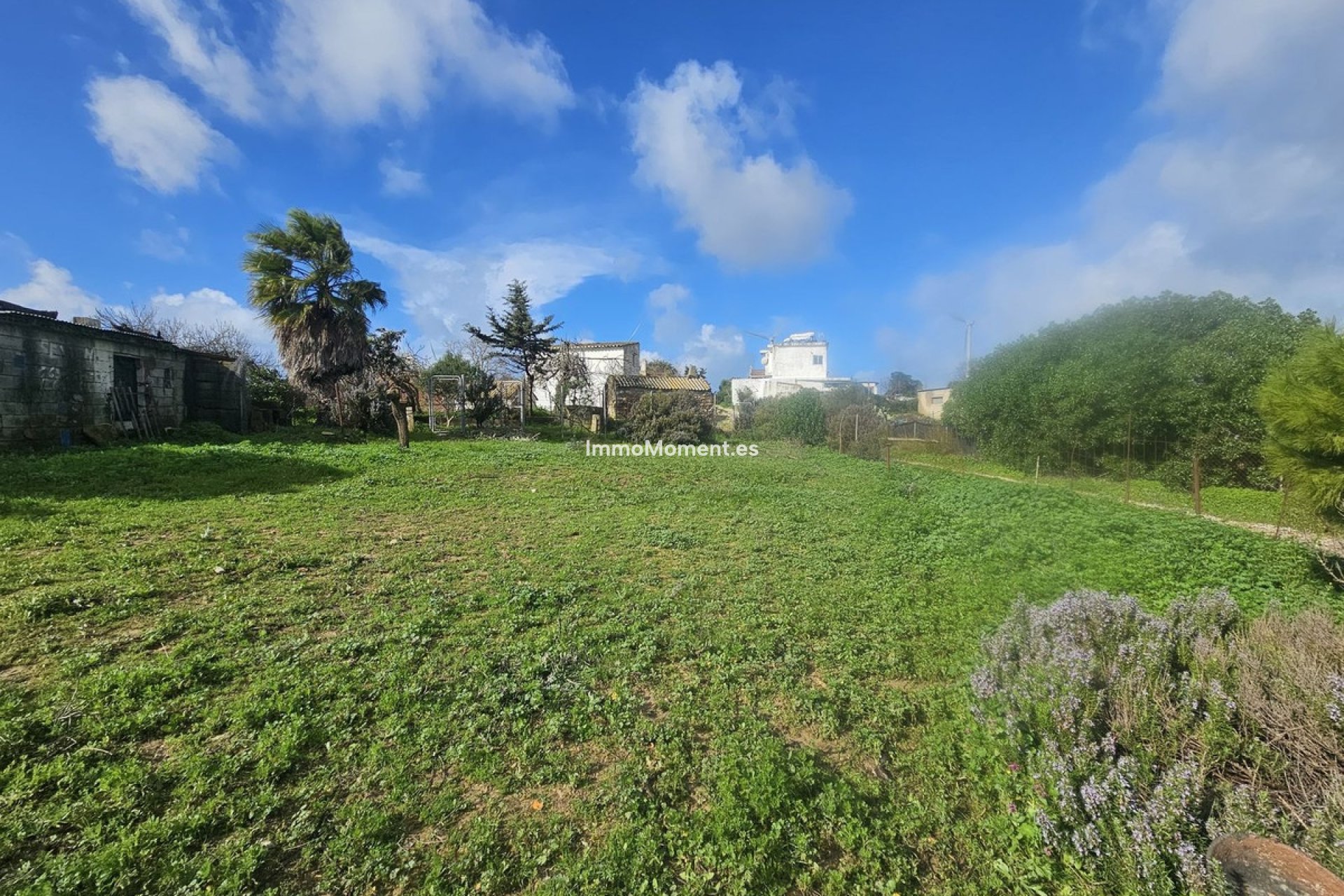 Revente - Villa individuelle - Casares - Casares Centro