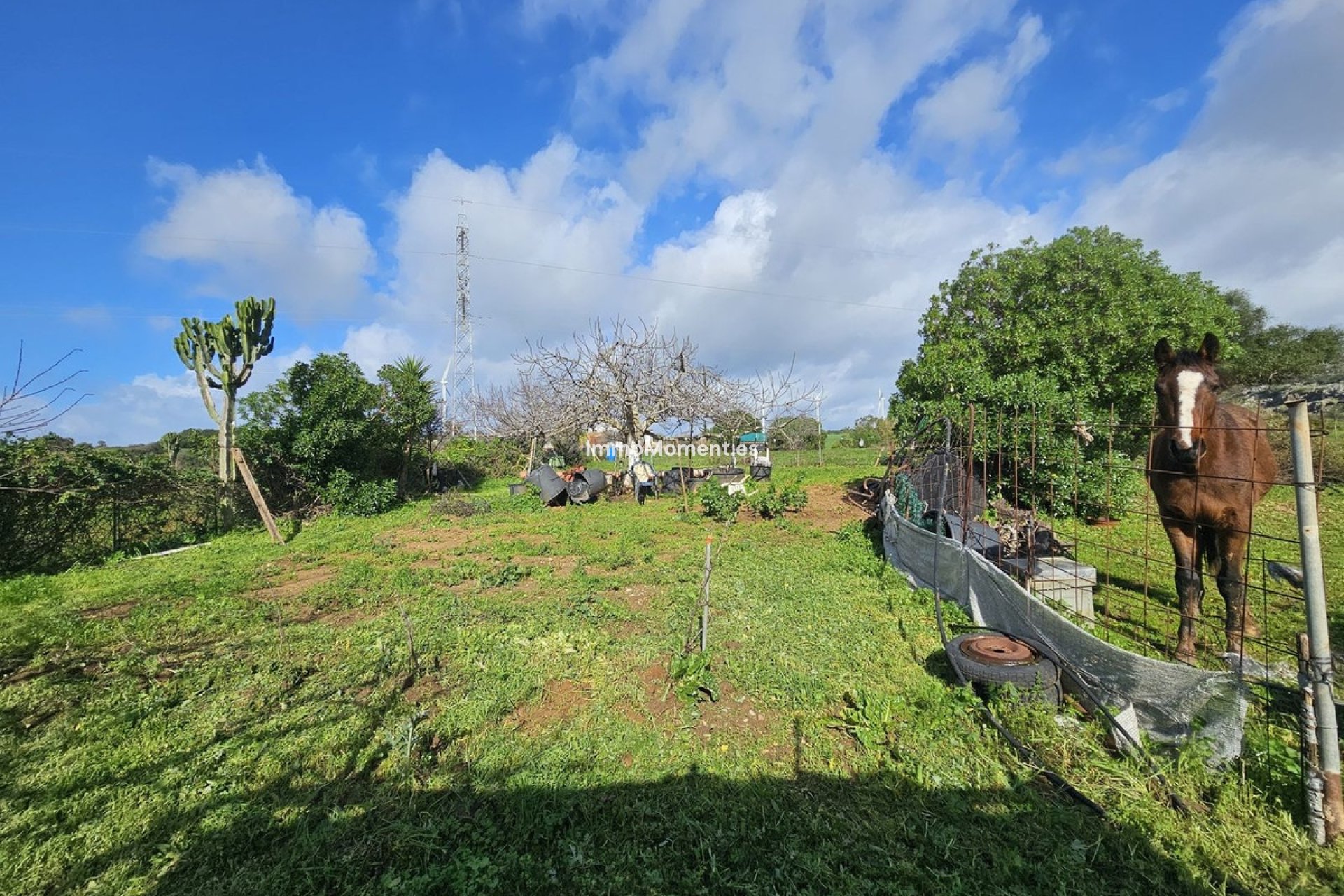 Revente - Villa individuelle - Casares - Casares Centro