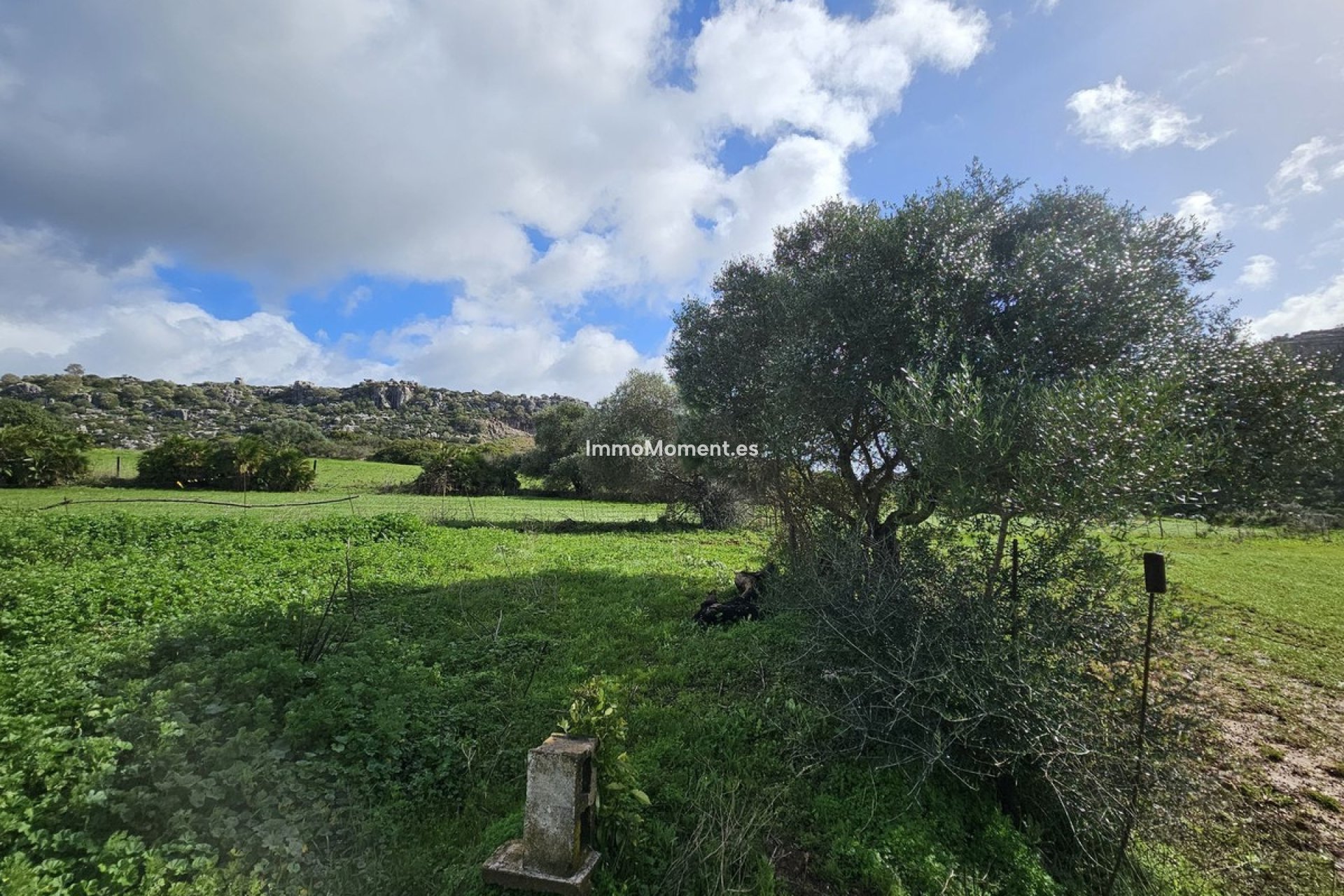 Revente - Villa individuelle - Casares - Casares Centro
