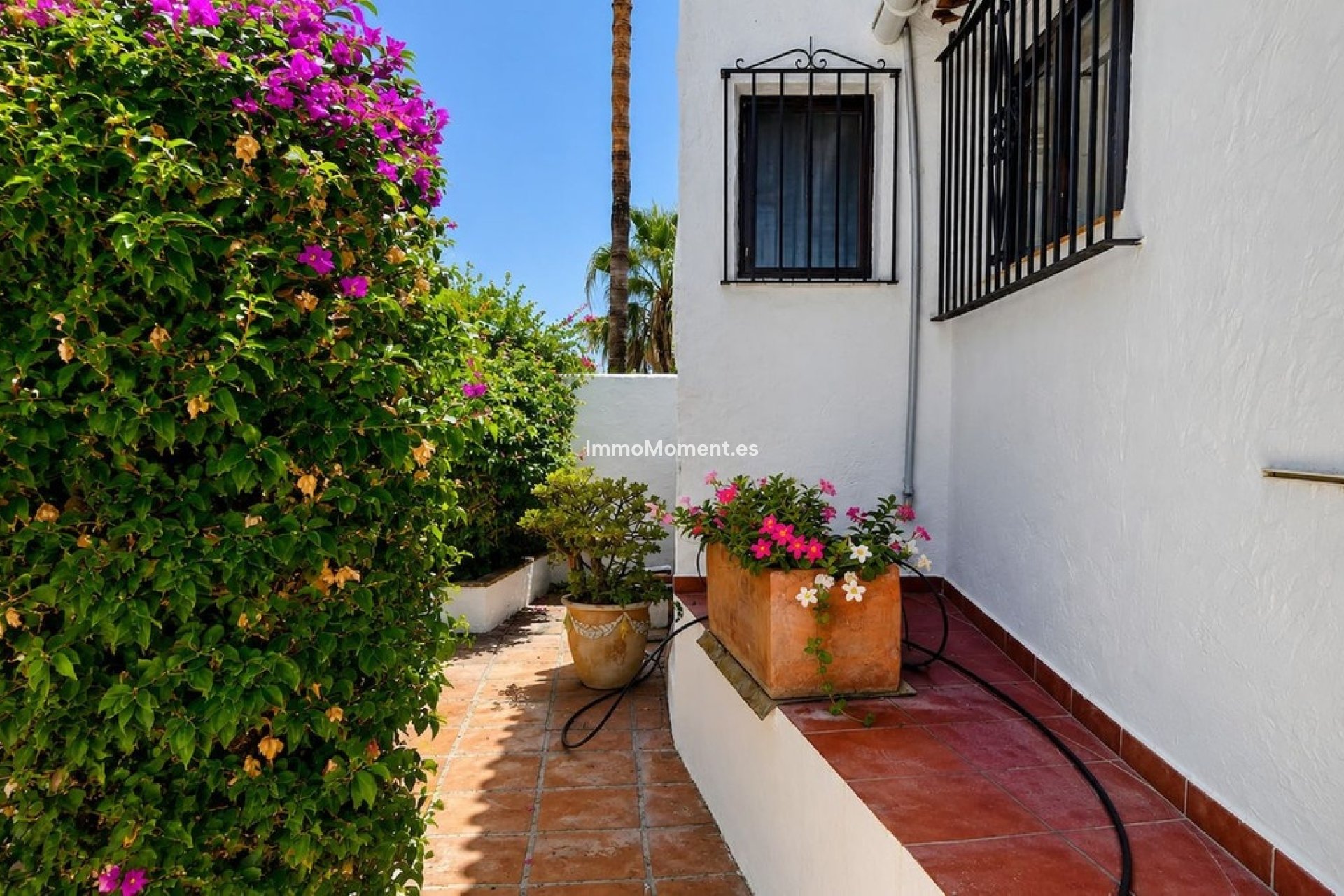 Revente - Villa individuelle - Casares - Casares Playa