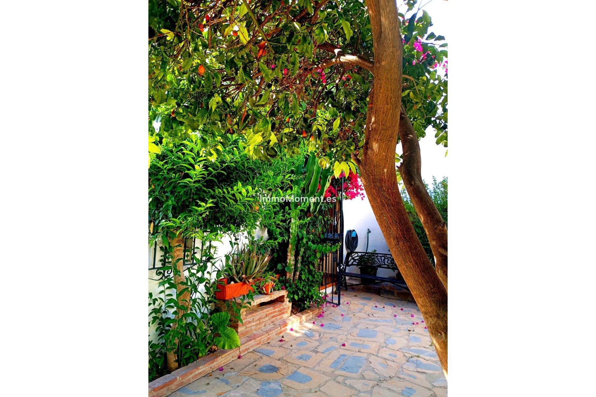 Revente - Villa individuelle - Casares - Casares Playa