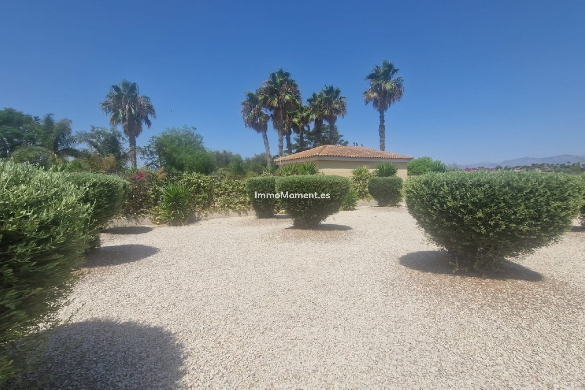 Revente - Villa individuelle - Catral - Catral Centro