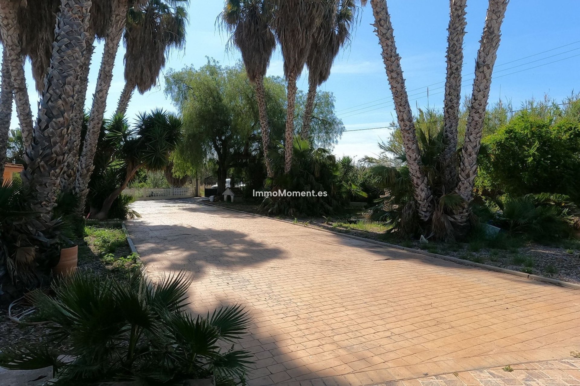 Revente - Villa individuelle - Dolores - Dolores Centro