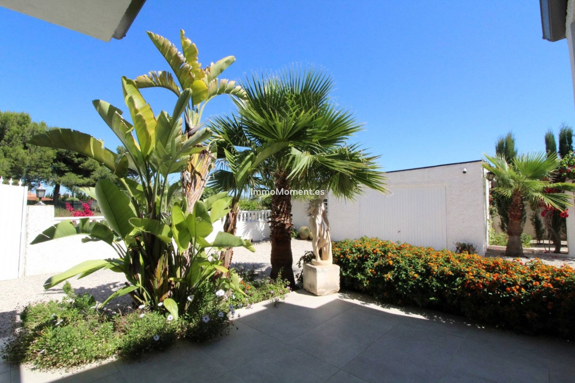 Revente - Villa individuelle - Elche - Elche Centro