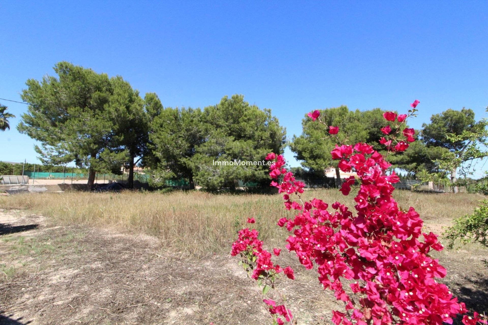 Revente - Villa individuelle - Elche - Elche Centro