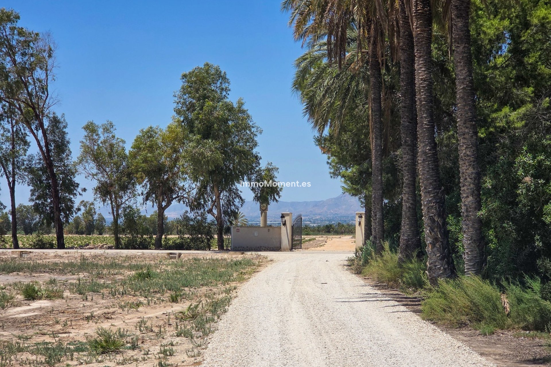 Revente - Villa individuelle - Elche - Elche Centro