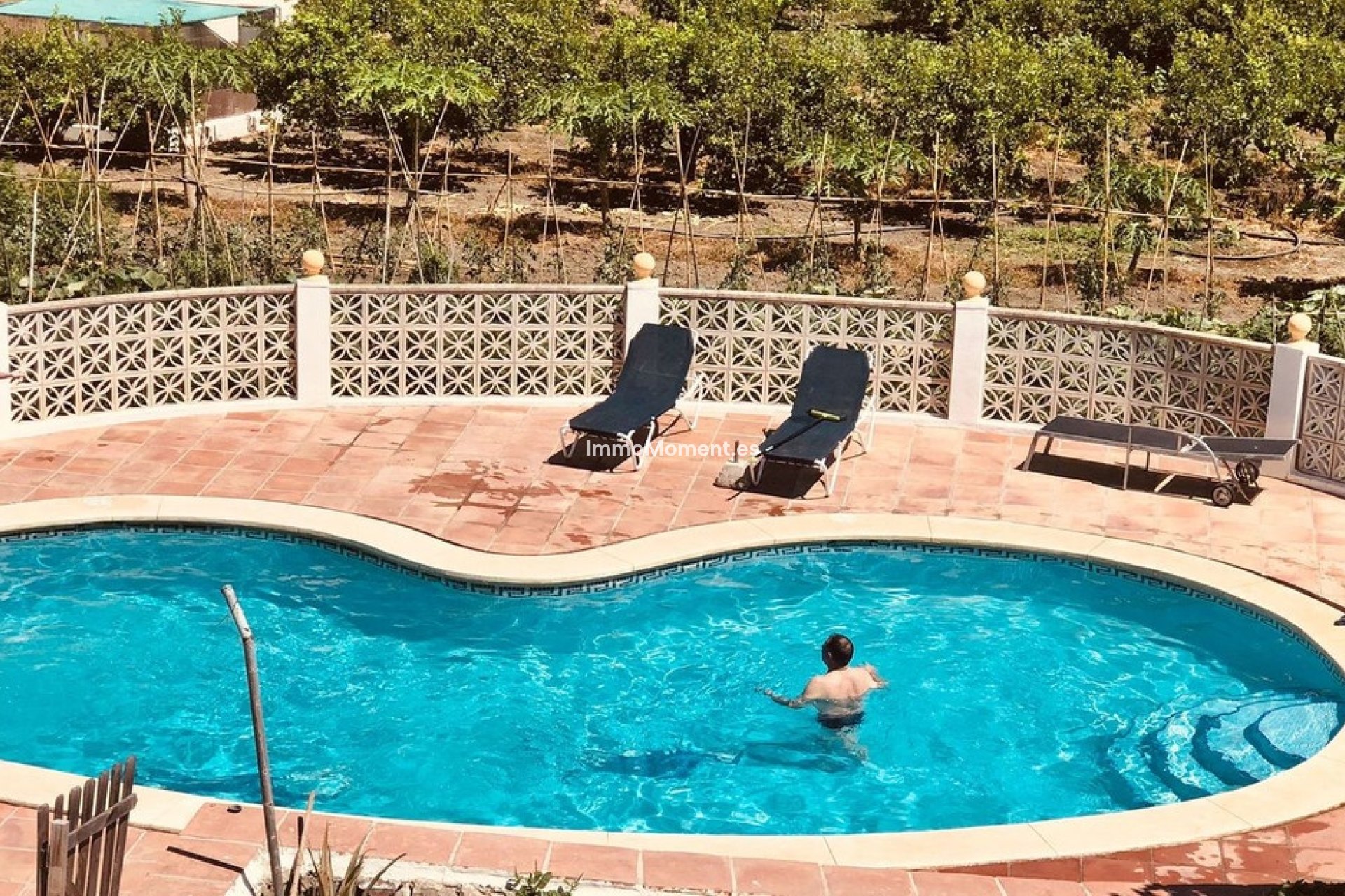 Revente - Villa individuelle - Estepona  - Cancelada