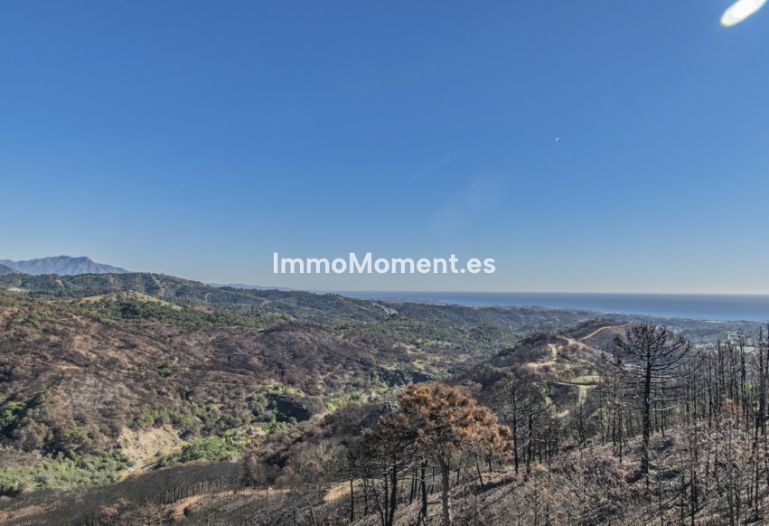 Revente - Villa individuelle - Estepona  - Estepona Centro