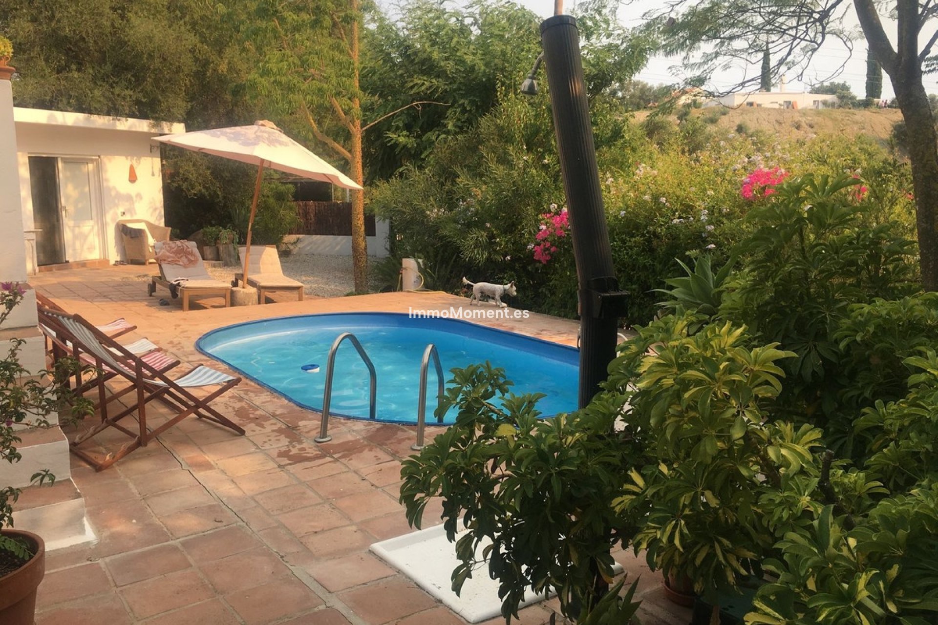 Revente - Villa individuelle - Estepona  - Estepona Centro