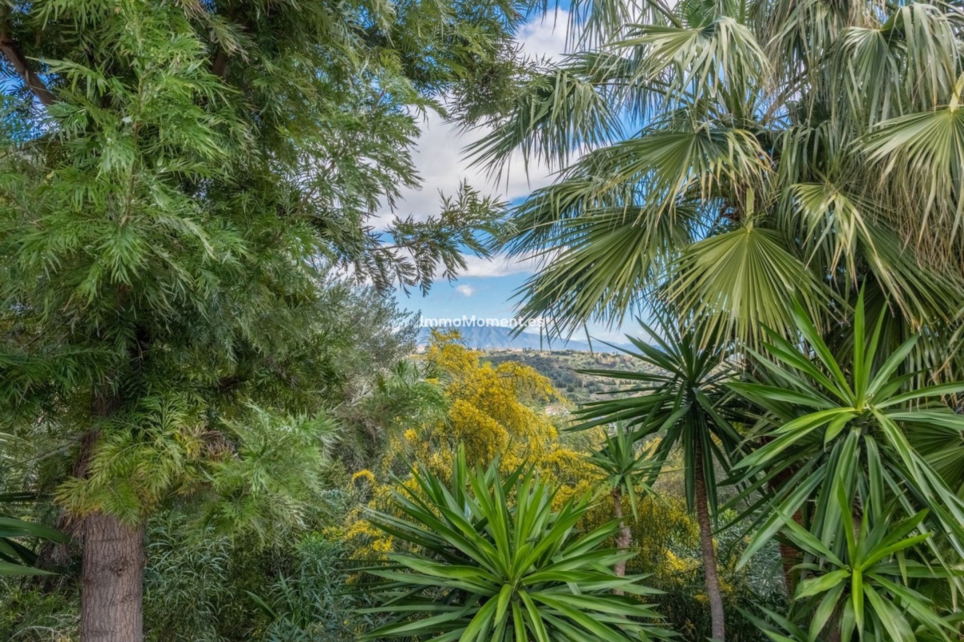 Revente - Villa individuelle - Estepona  - Estepona Centro