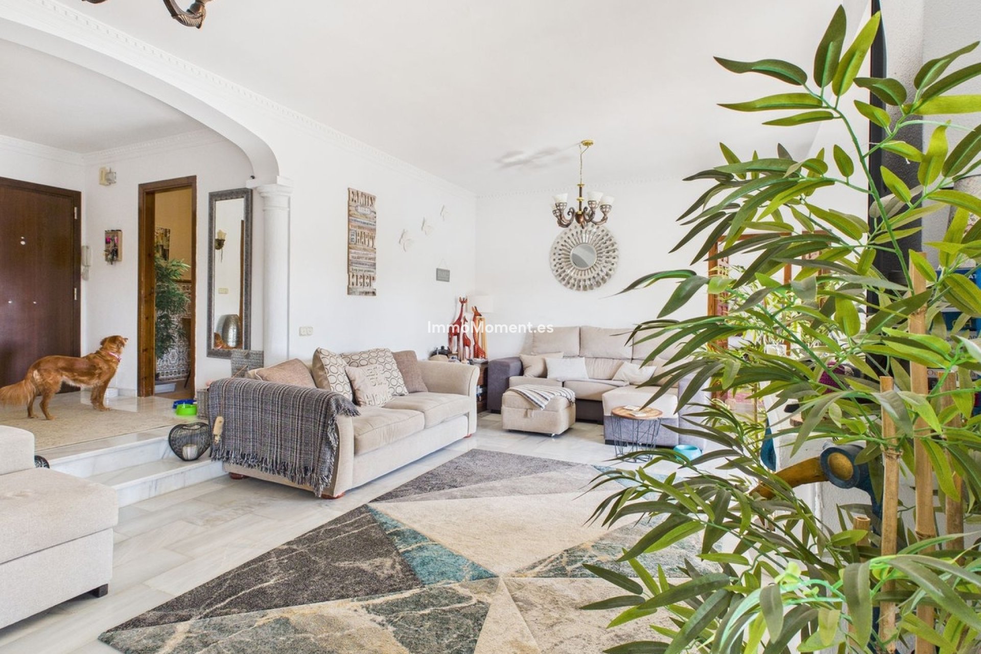 Revente - Villa individuelle - Estepona  - Estepona Centro