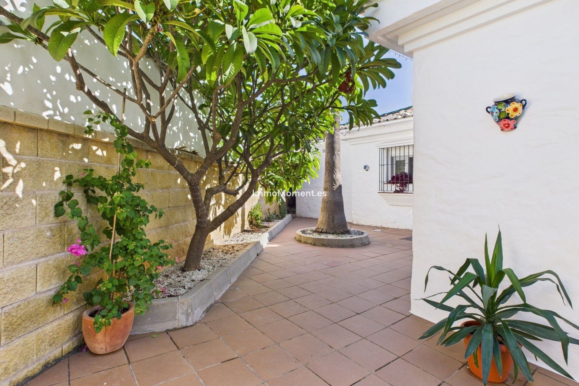 Revente - Villa individuelle - Estepona  - Estepona Centro