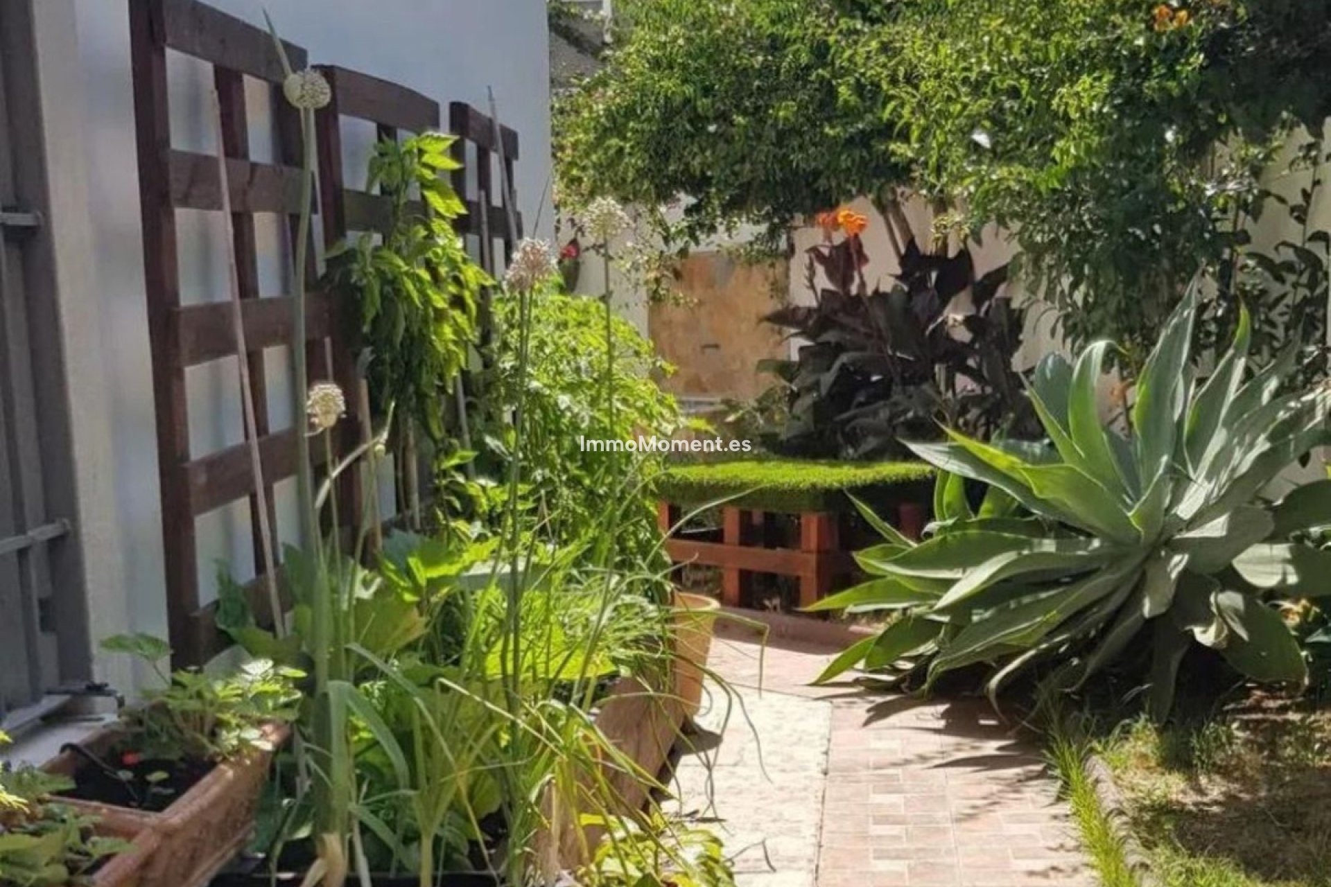 Revente - Villa individuelle - Estepona  - Estepona Centro