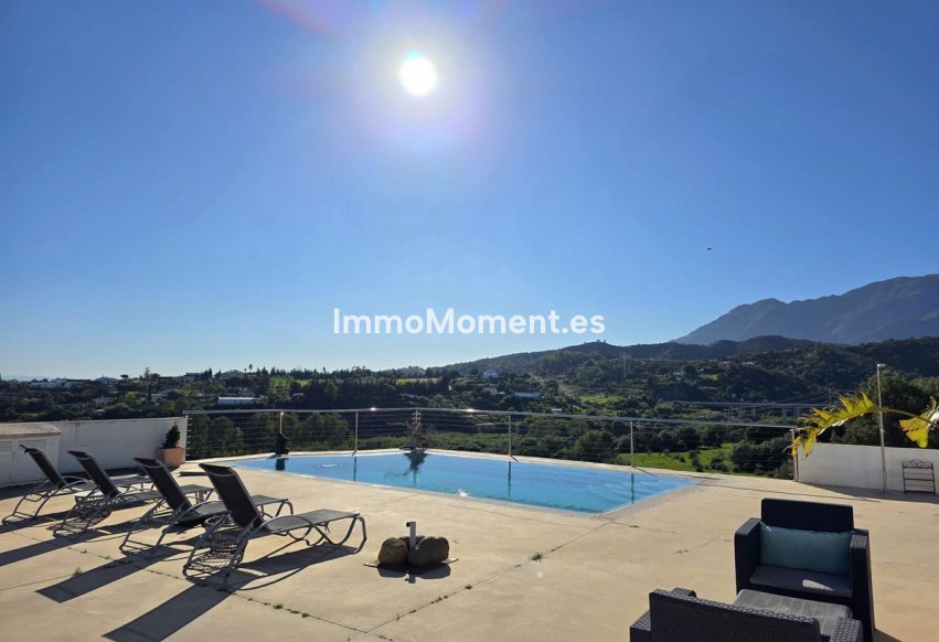 Revente - Villa individuelle - Estepona  - Estepona Centro