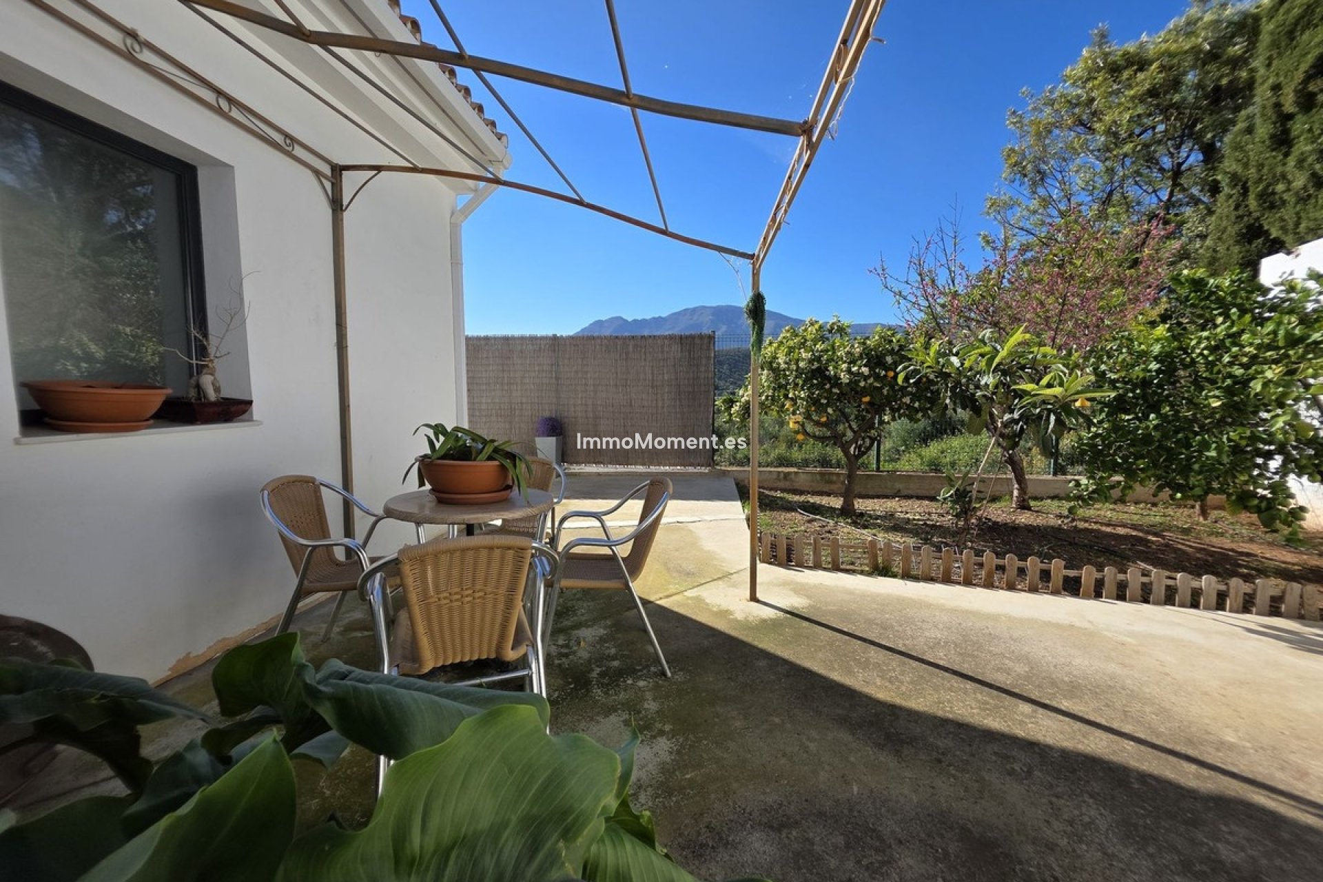 Revente - Villa individuelle - Estepona  - Estepona Centro