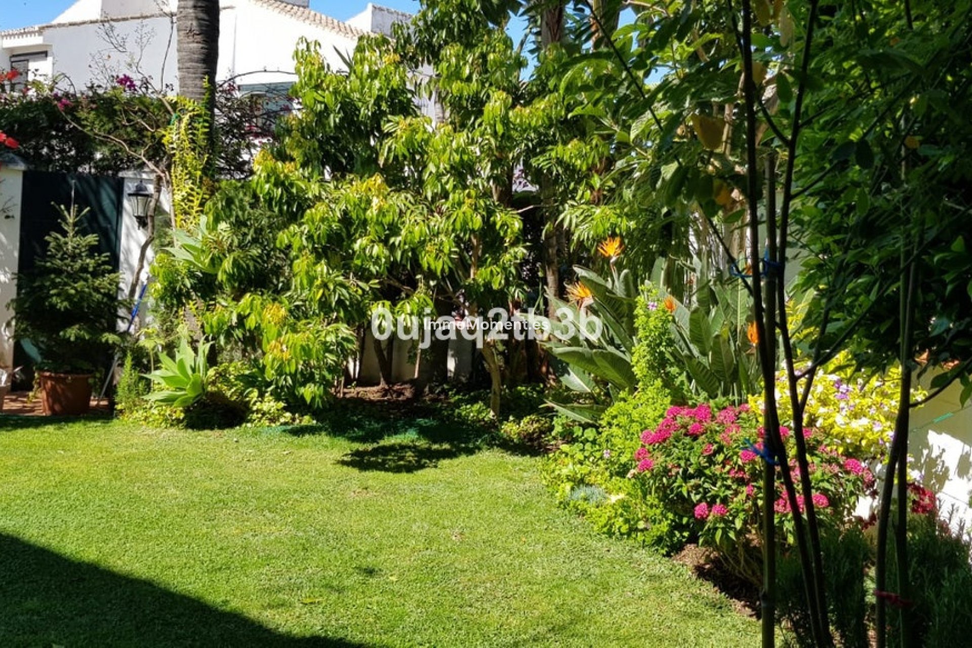 Revente - Villa individuelle - Estepona  - New Golden Mile