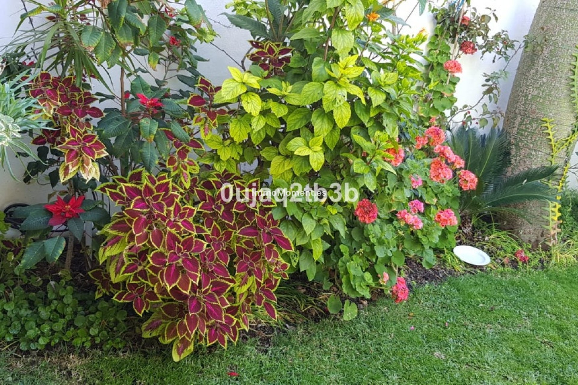 Revente - Villa individuelle - Estepona  - New Golden Mile