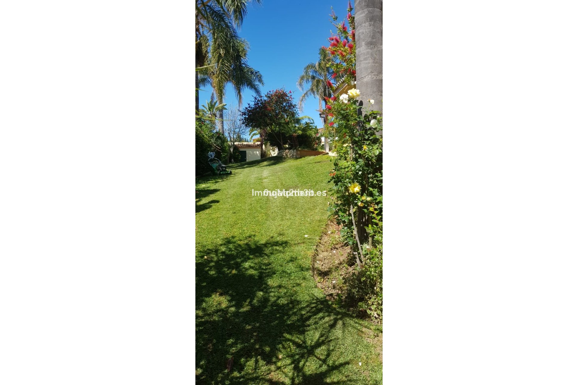 Revente - Villa individuelle - Estepona  - New Golden Mile
