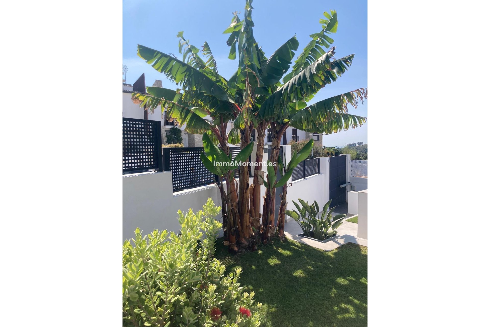 Revente - Villa individuelle - Estepona  - Valle Romano