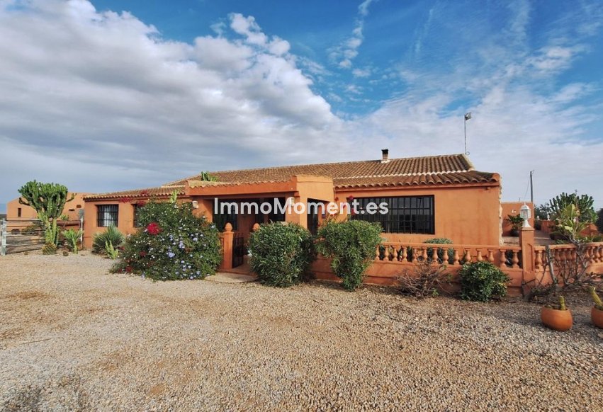Revente - Villa individuelle - Fuente Alamo - Fuente Álamo de Murcia
