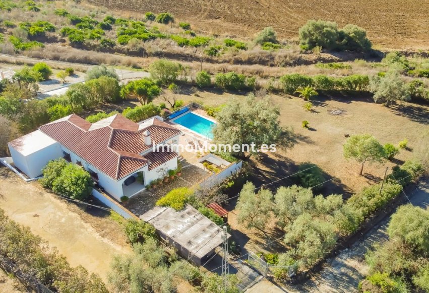 Revente - Villa individuelle - Intérieur                       - Almogía