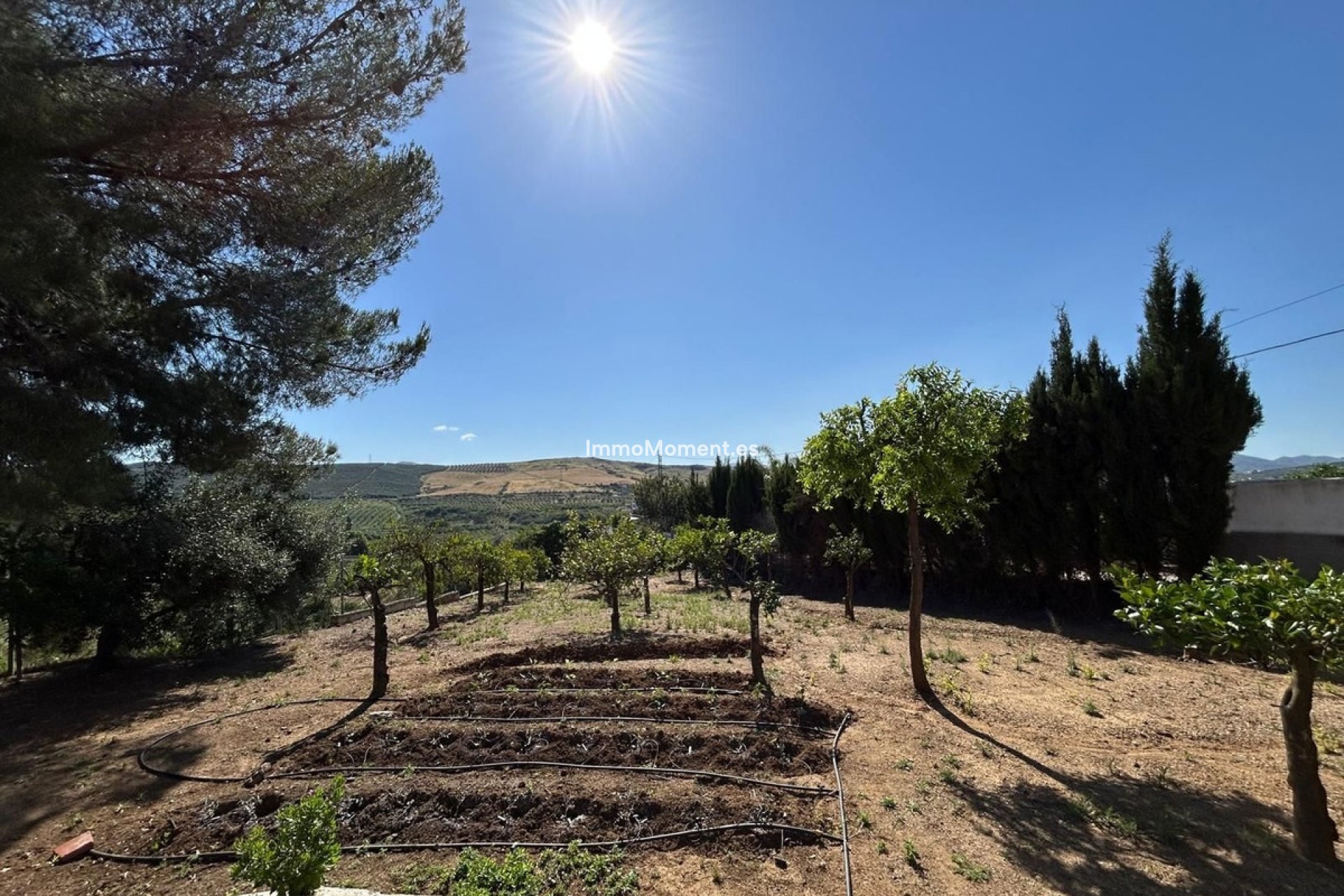 Revente - Villa individuelle - Intérieur                       - Alora
