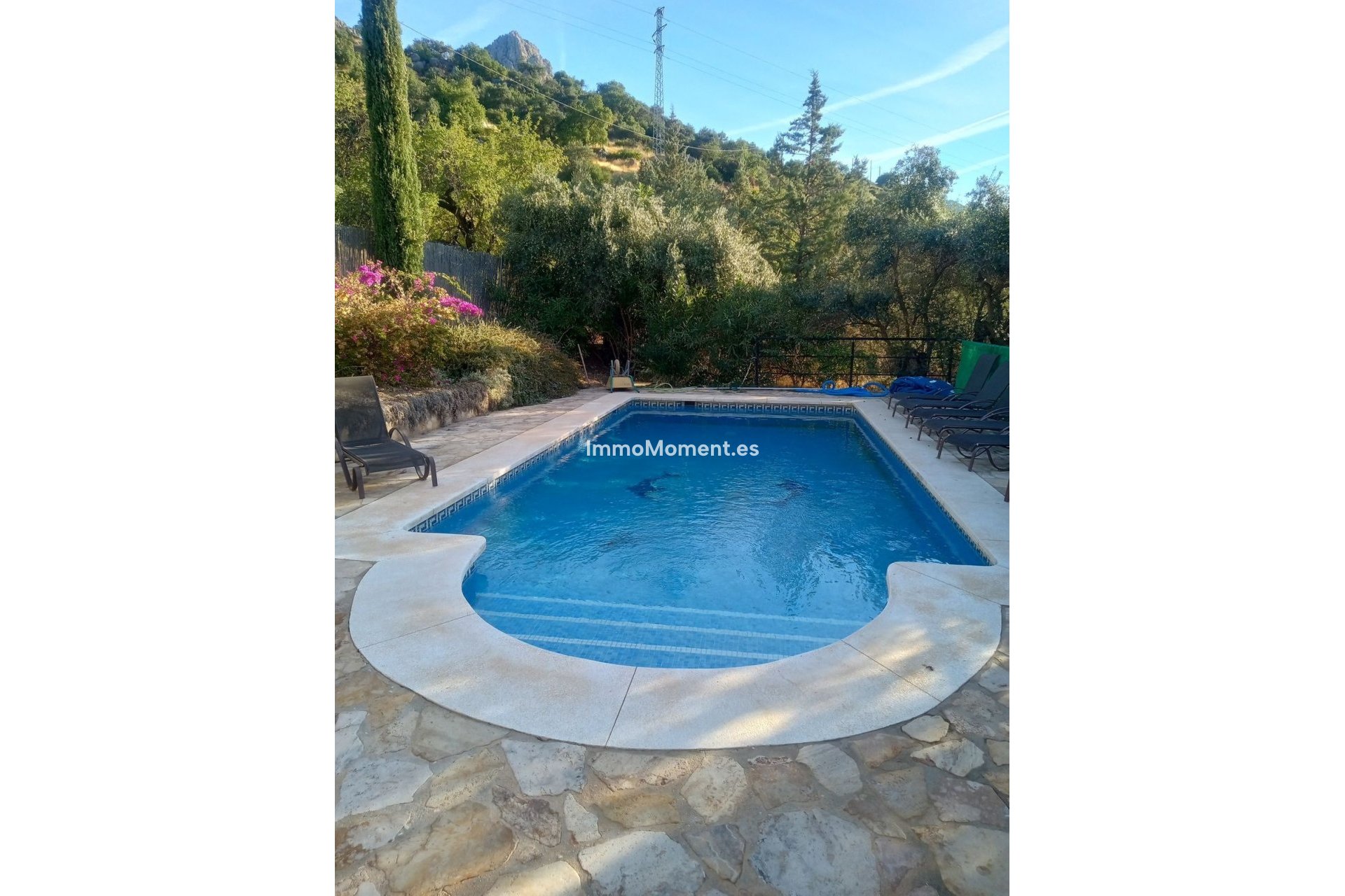 Revente - Villa individuelle - Intérieur                       - Alora