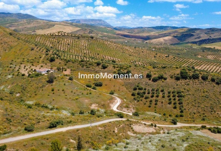 Revente - Villa individuelle - Intérieur                       - Alora