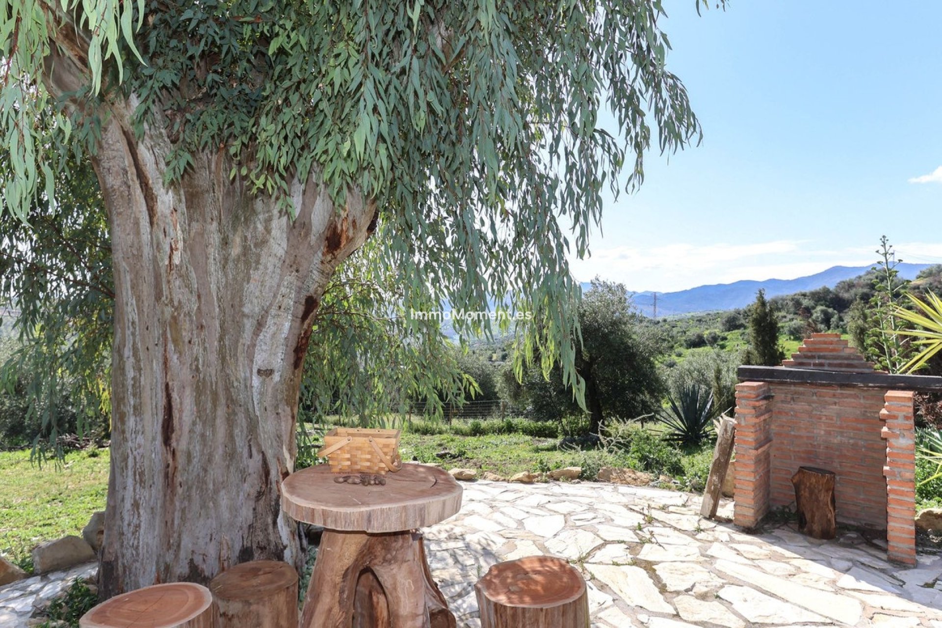 Revente - Villa individuelle - Intérieur                       - Alozaina