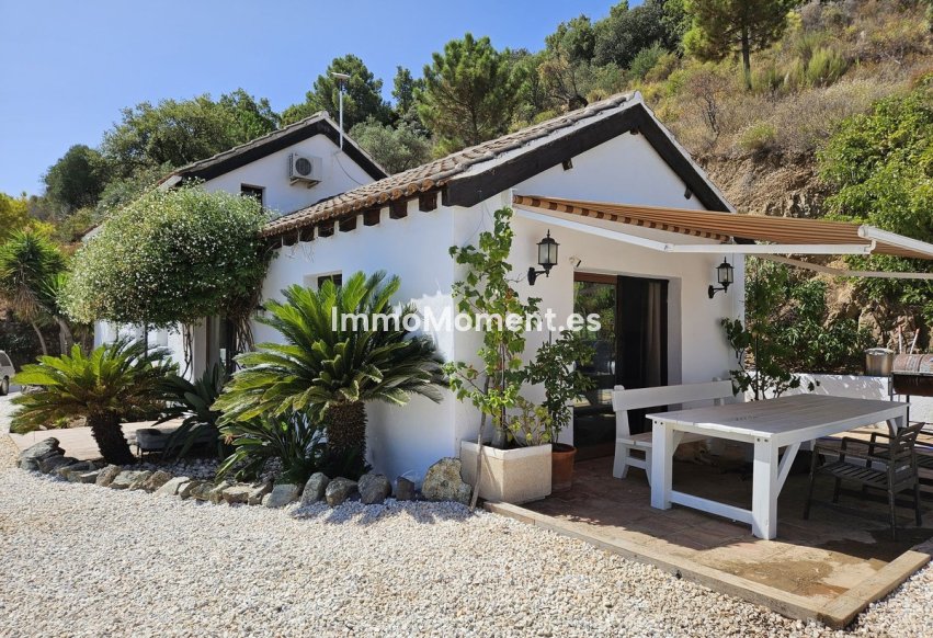Revente - Villa individuelle - Intérieur                       - Monda