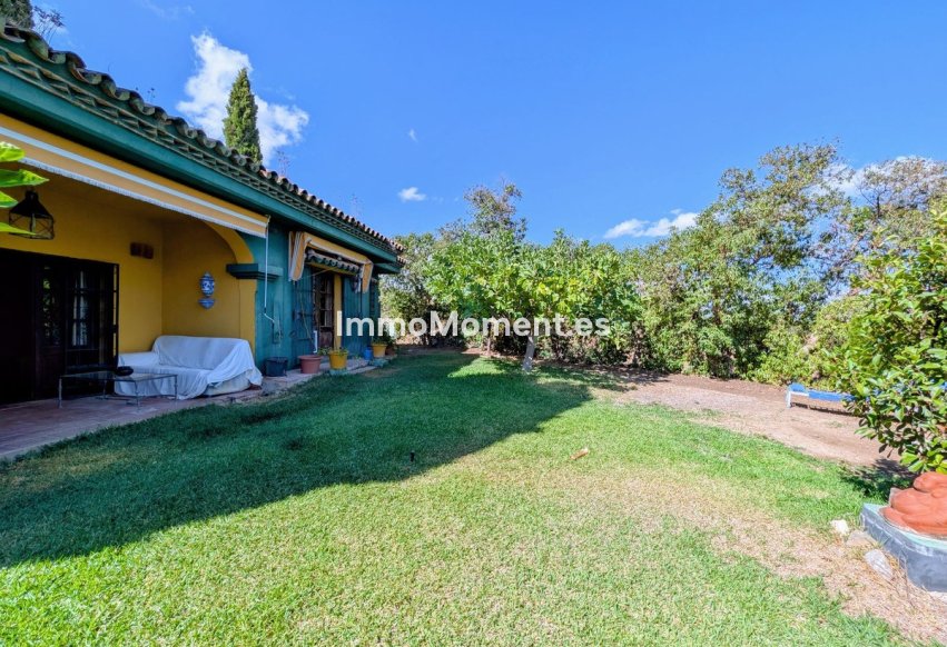Revente - Villa individuelle - Intérieur                       - Monda