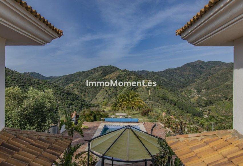 Revente - Villa individuelle - Intérieur                       - Monda