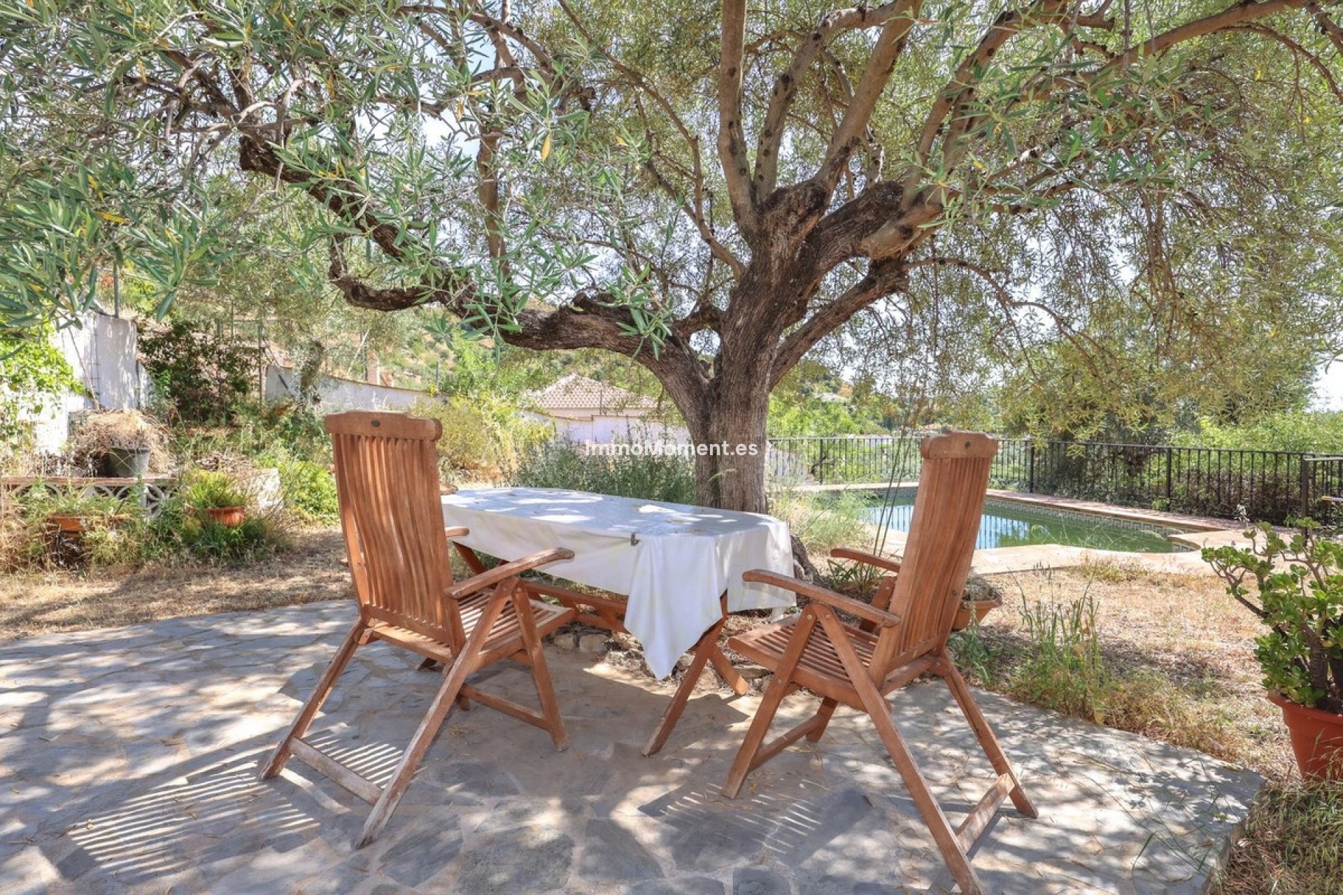 Revente - Villa individuelle - Intérieur                       - Monda