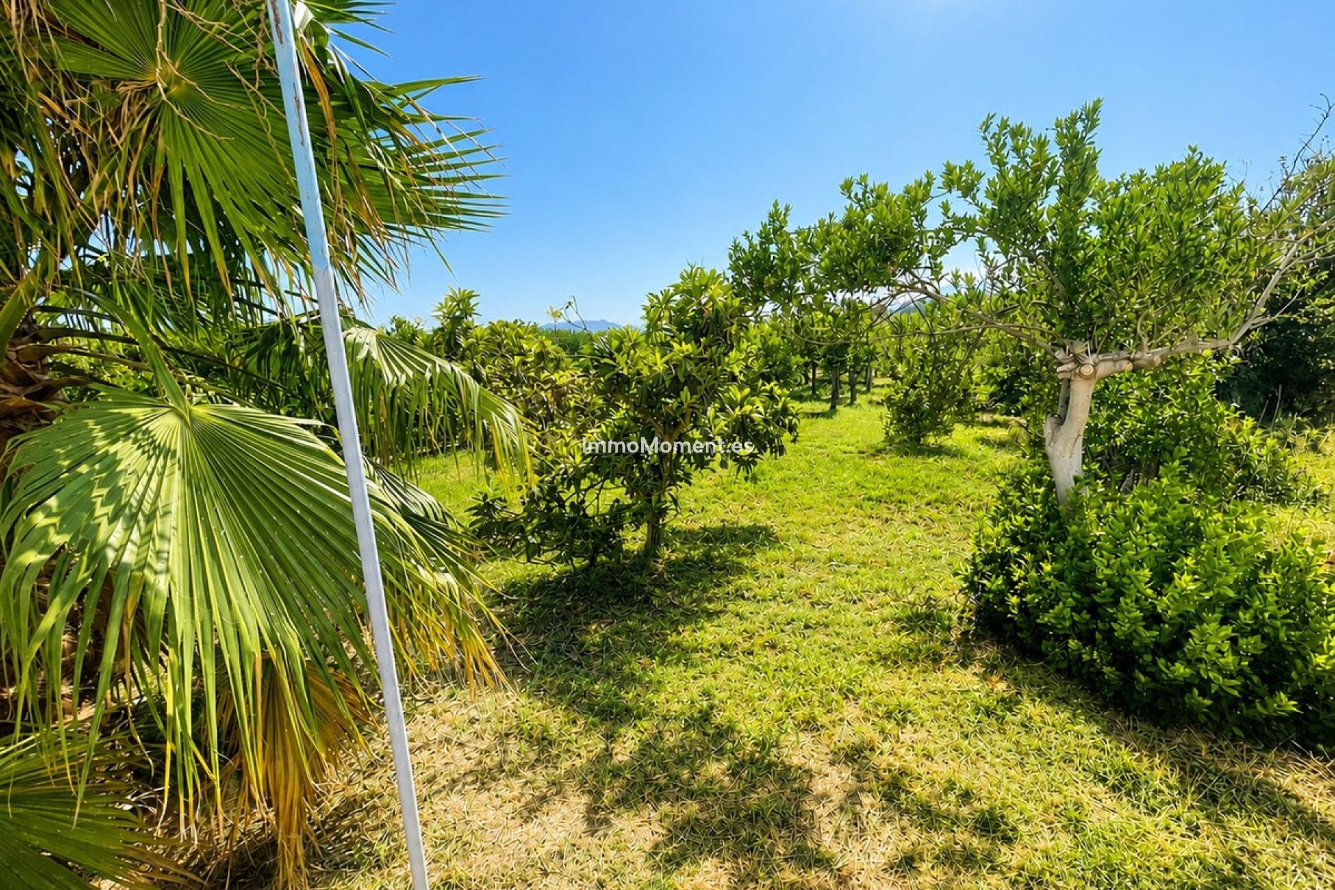 Revente - Villa individuelle - Intérieur                       - Pizarra