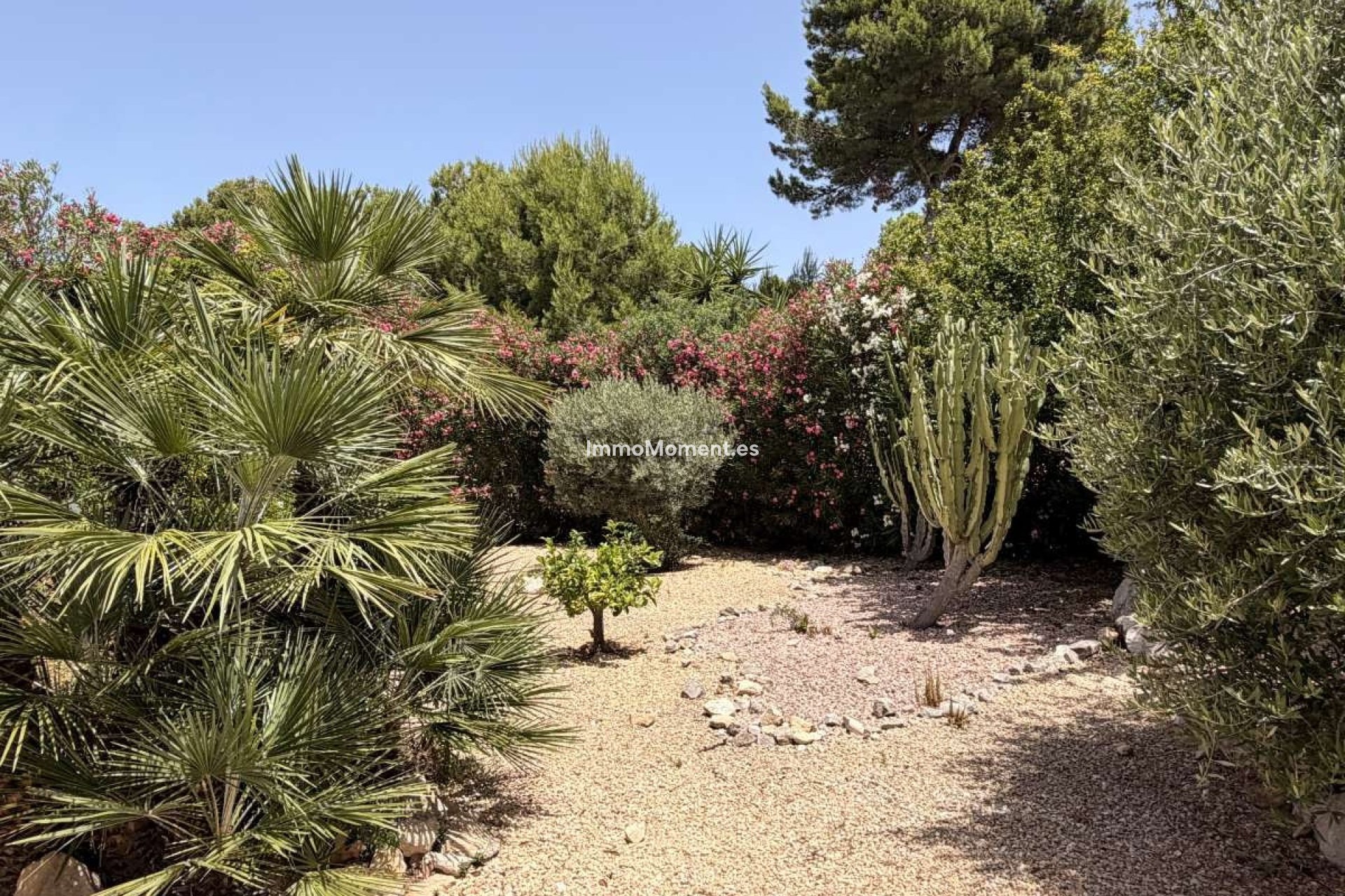Revente - Villa individuelle - Jávea - Jávea - Xàbia Centro