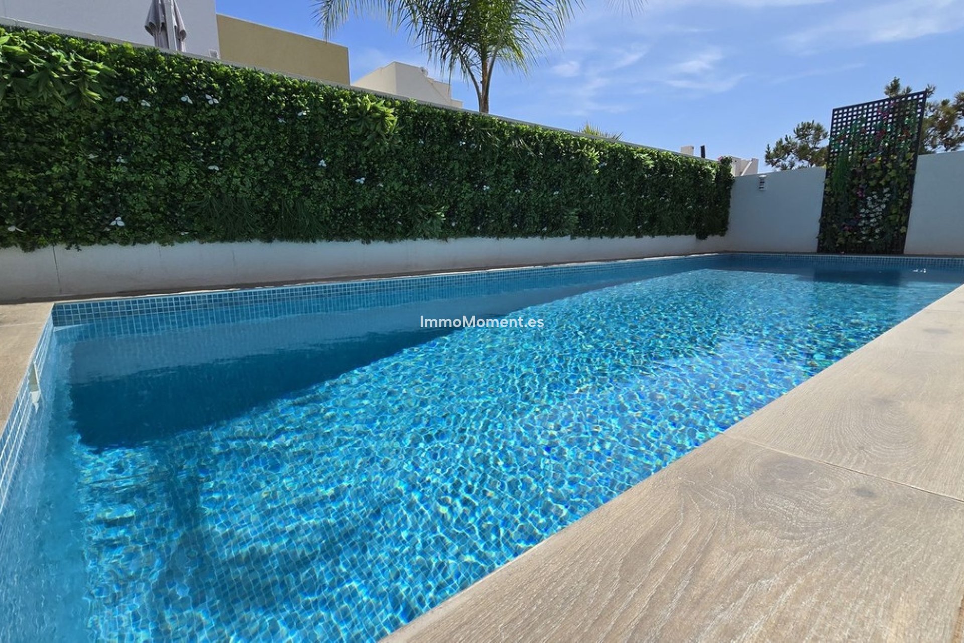 Revente - Villa individuelle - Los Montesinos - Los Montesinos Centro