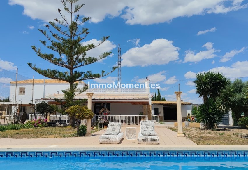 Revente - Villa individuelle - Los Montesinos - Los Montesinos Centro