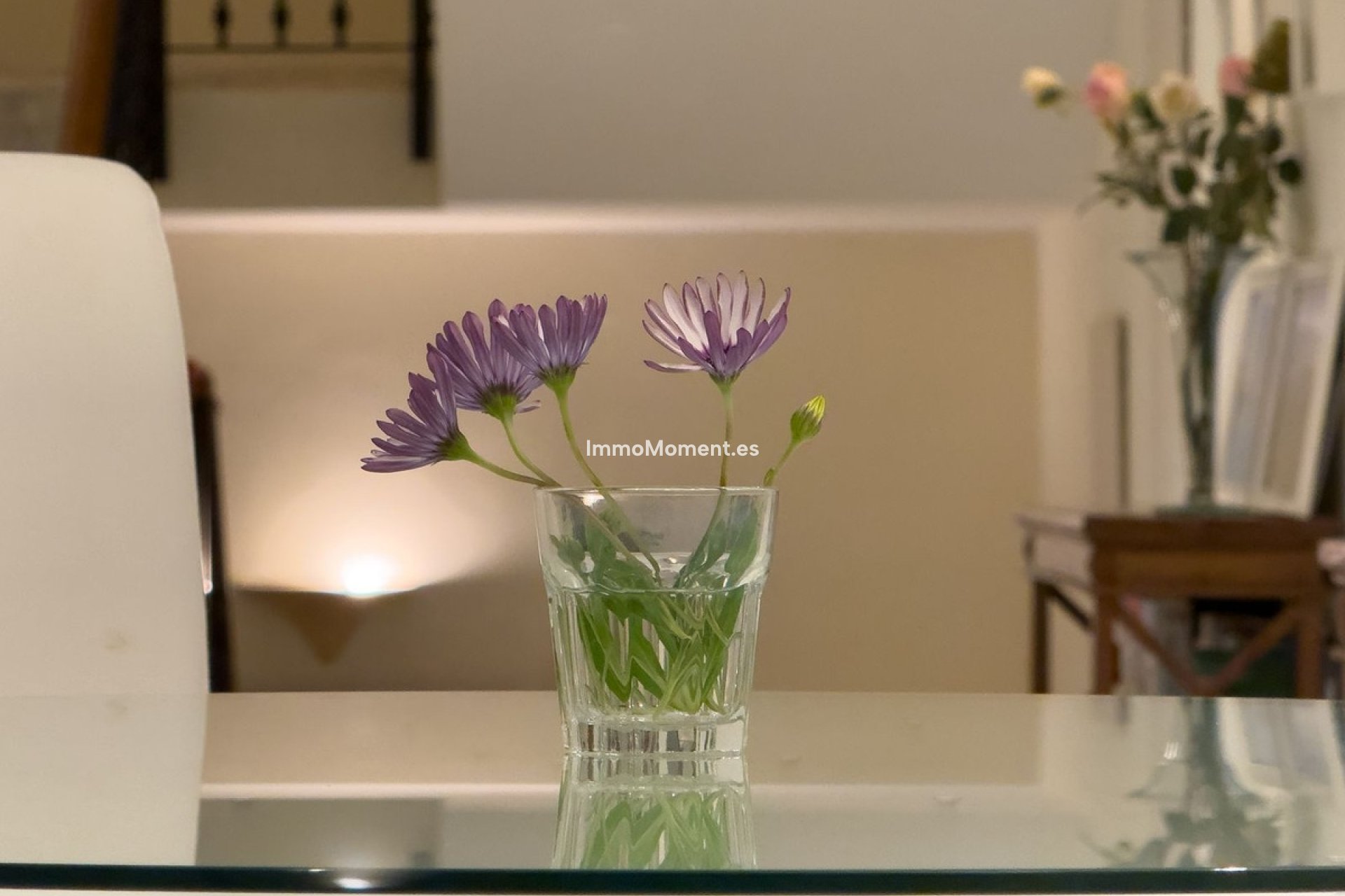 Revente - Villa individuelle - Marbella - El Rosario
