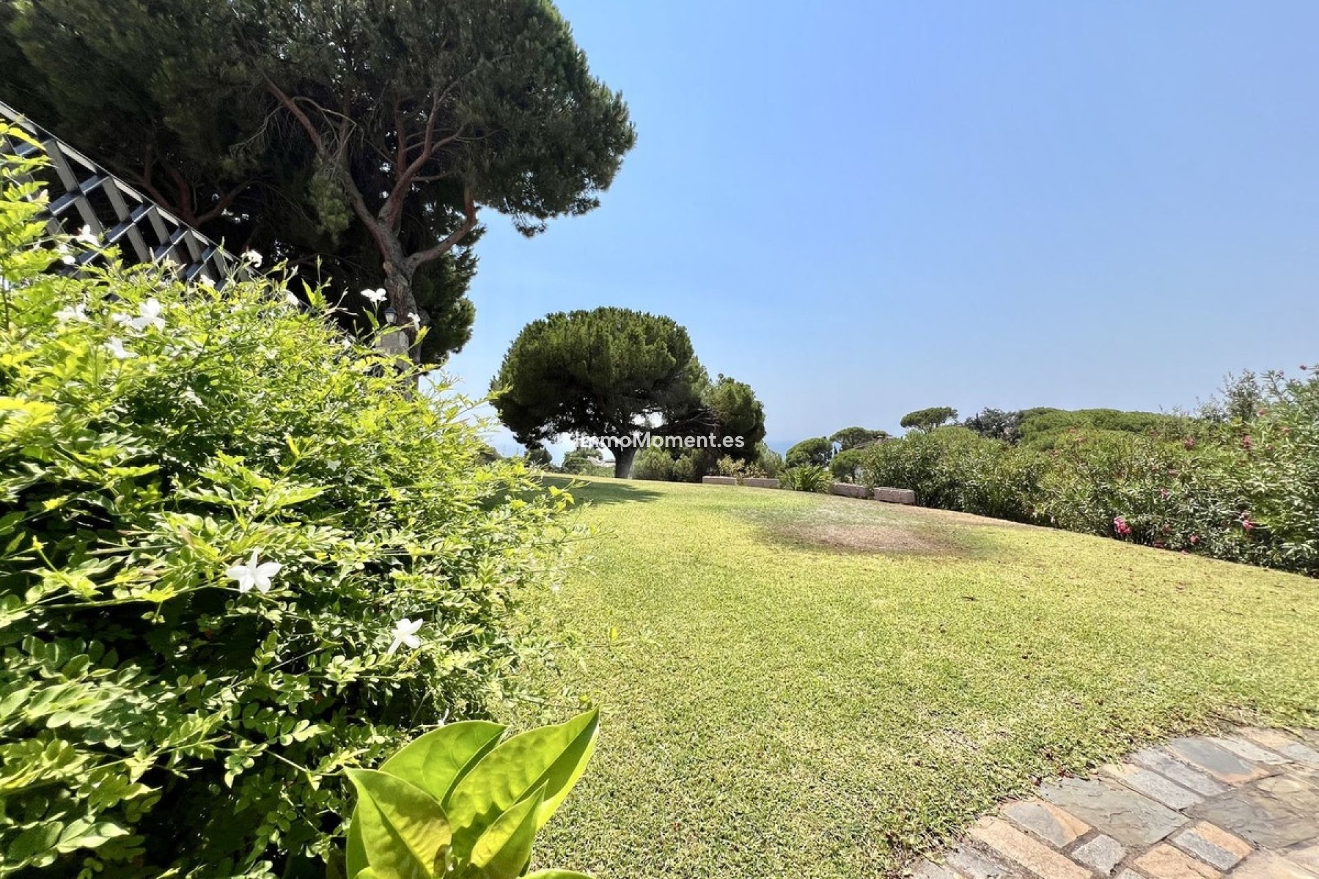 Revente - Villa individuelle - Marbella - Elviria